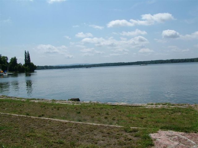 DSCF7198 (Medium)